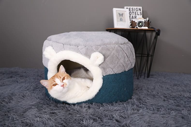 Petsasa best dog and cat bed house in Rwanda petstore