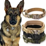 For Rwanda airforce, kenya army police Military Tactical Dog Collar, Heavy Duty for Handling & Training