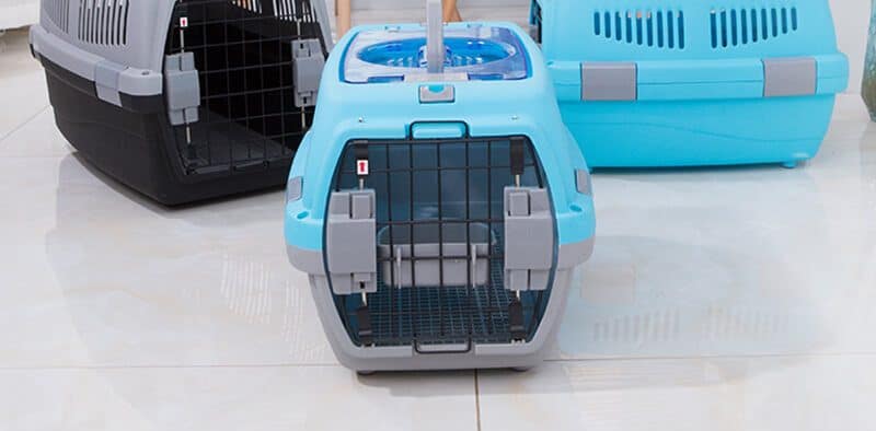 Petsasa Pet House Rwanda