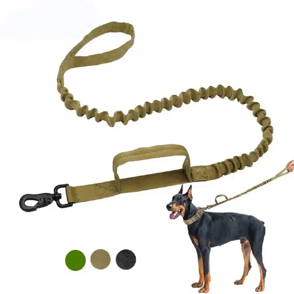 Tactical Military Walking & Training Bungee Elastic Dog Leash Dog Rope Rwanda