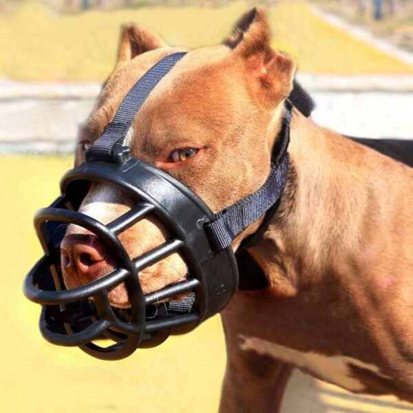 Buy Best Soft Silicone Basket Dog Muzzle on Petsasa Rwanda Pet store