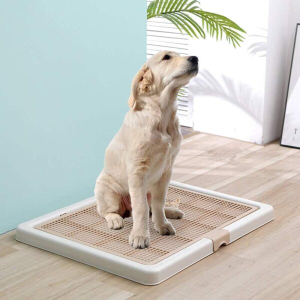 Buy Large Dog Toilet Tray Potty Training Pee Pad on Petsasa Petstore