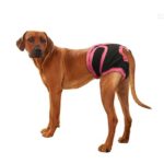 Washable Female Dog Diapers Physiological Panties, Purple - Image 2