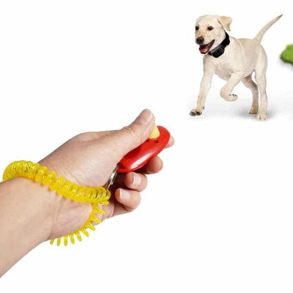 Buy Pet Simple Dog Training Clicker Training Tool Online in Rwanda on Petsasa Pet Store in Kigali