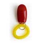 Buy Best Dog Training Supplies in Rwanda on Petsasa Pet Shop