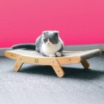Buy Cat Lounge Bed in Rwanda on Petsasa Petstore