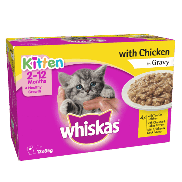 Buy Whiskas Kitten Wet Food, Tender chicken in Gravy, 12 Pouches in Rwanda on Petsasa Pet store