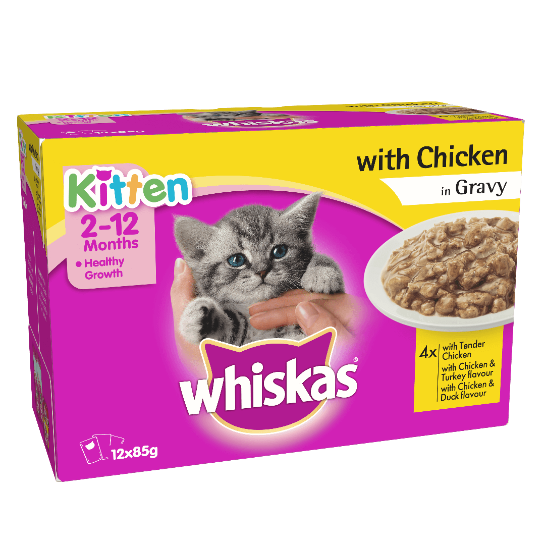 Whiskas-Kitten-Wet-Food-Tender-chicken-in-Gravy-Pouch-in-Rwanda Buy Whiskas Kitten Wet Food, Tender chicken in Gravy, 12 Pouches in Rwanda on Petsasa Pet store