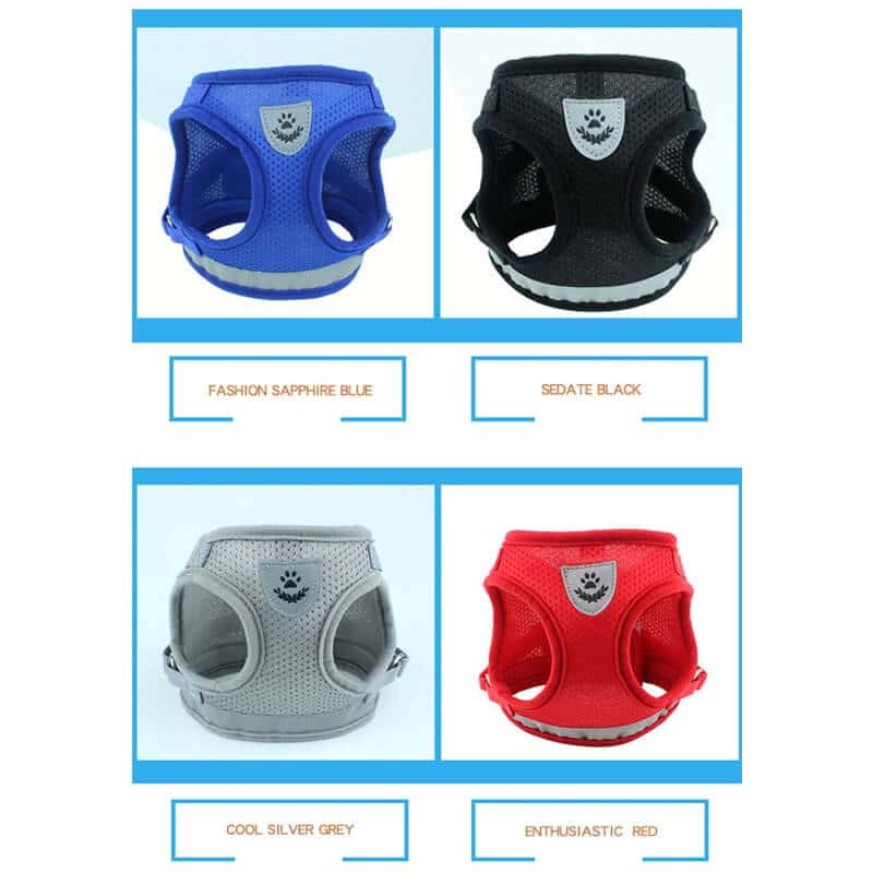 Step In Vest Dog Harness and Leash Set 1