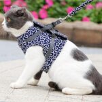 Buy Japanese Style Cat Vest Harness for Cats and Small Dogs in Rwanda
