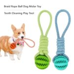 Chew Fetch Dog Toys in Rwanda from Petsasa Pet House Rwanda Braid Rope Dog Toy with Treat Ball