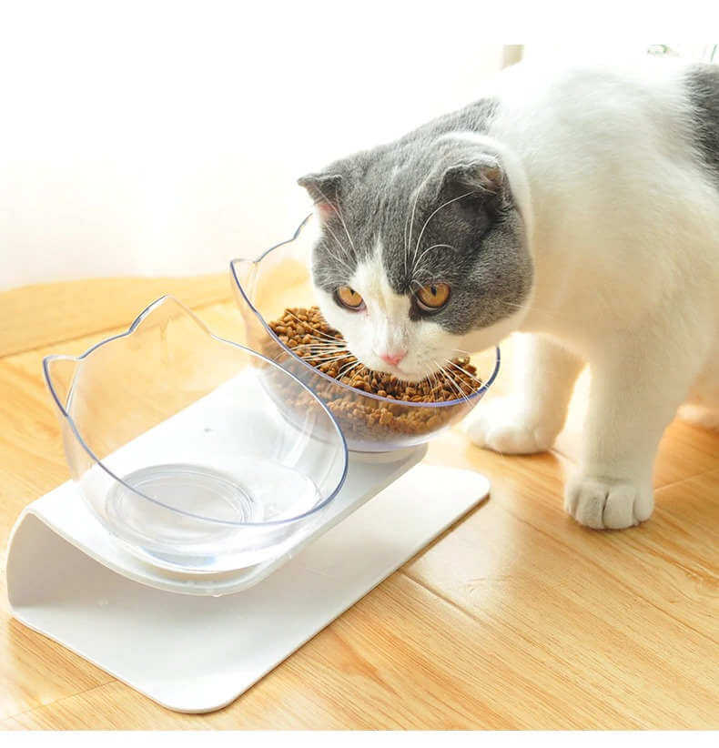 Best Raised Cat Bowl Plate in Rwanda KittyPro Elevated Cat Food Bowl Double Diner
