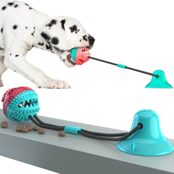 Buy Interactive Suction Cup Tug Dog Toy with Treat Ball in Rwanda