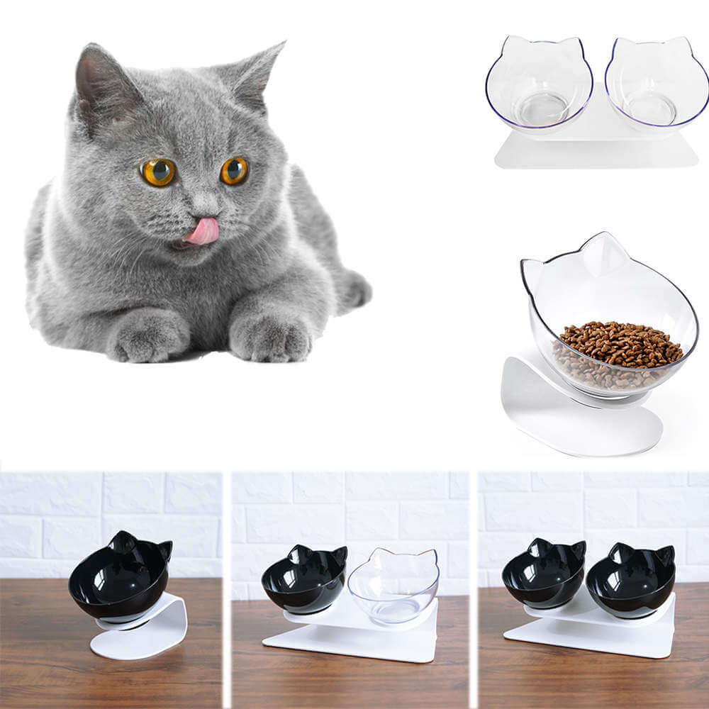 Petsasa Raised Elevated Cat Bowls in Rwanda