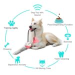 Where to Buy Interactive Suction Cup Tug Dog Toy with Treat Ball in Rwanda Petsasa Pet house