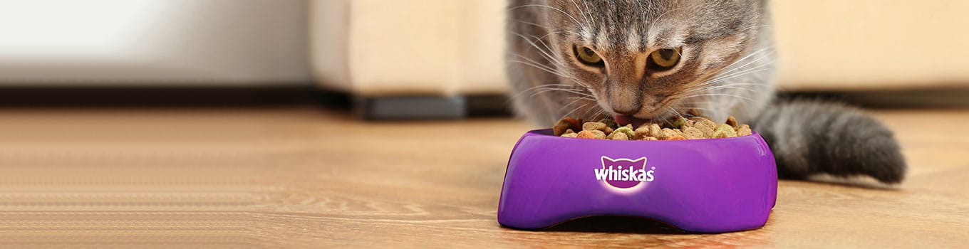 Whiskas Cat Food Rwanda