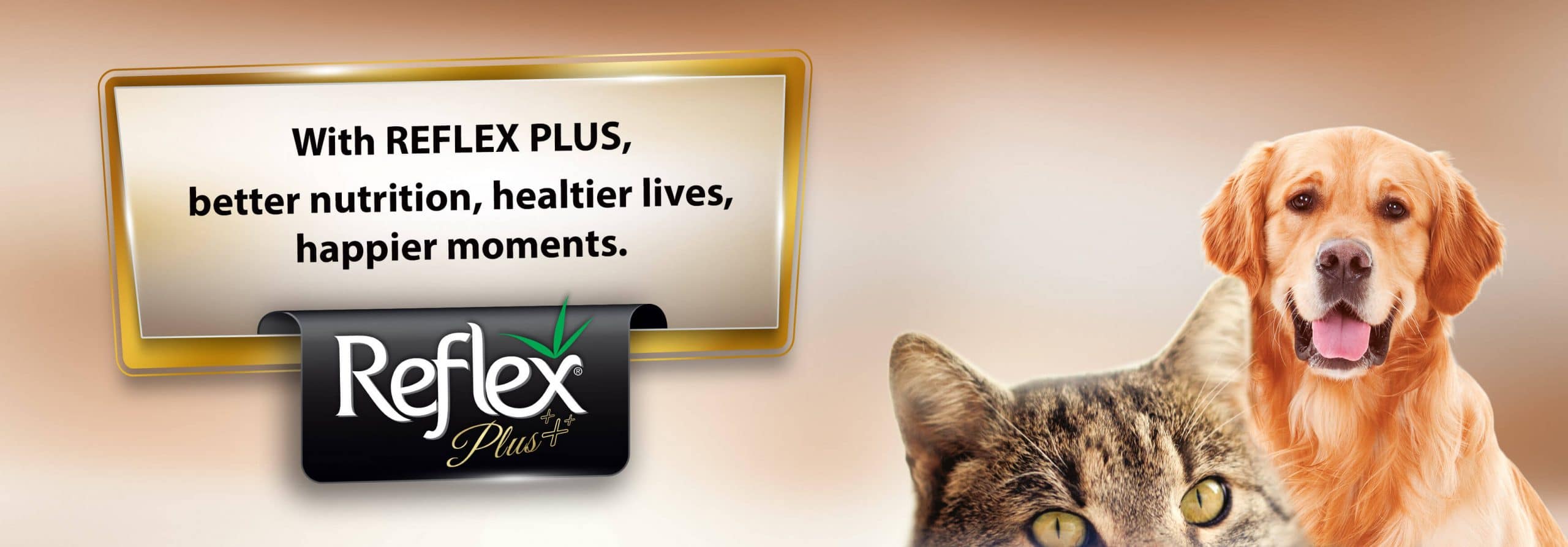 Buy Reflex Pet Food for Dogs & Cats in Rwanda