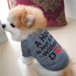 Buy Grey A House is Not Home Without A Dog Summer Dog T-Shirt in Rwanda for Small, Medium and large dogs