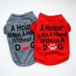Buy A House is Not Home Without A Dog Summer Dog T-Shirt in Rwanda on Petsasa