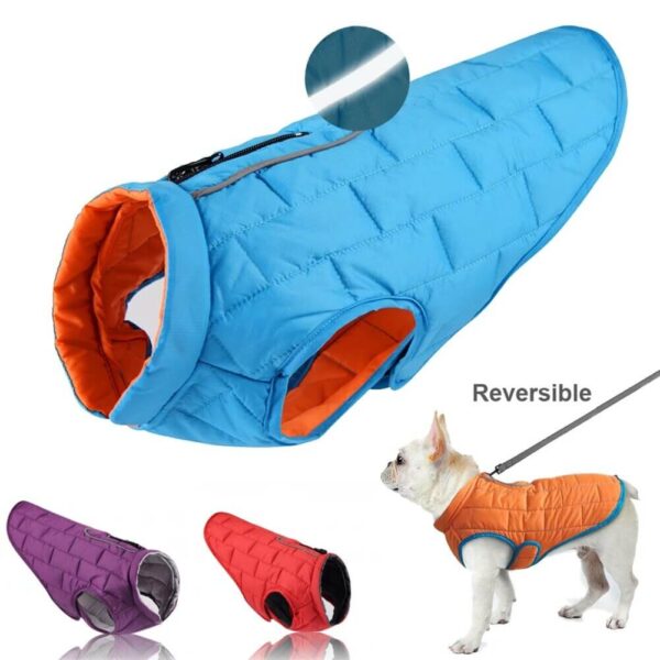 Buy Petsasa Padded Dog Jacket, Adjustable, With Leash Opening in Rwanda Pet store online