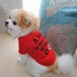 Buy Red A House is Not Home Without A Dog Summer Dog T-Shirt in Rwanda on Petsasa pet store kenya for small, medium and large dogs