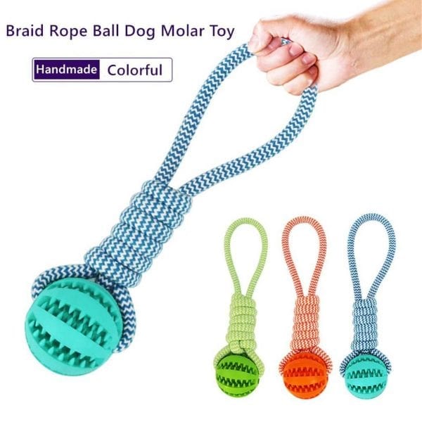 Buy Braid Rope Dog Toy with Treat Ball in Rwanda Pet Shop