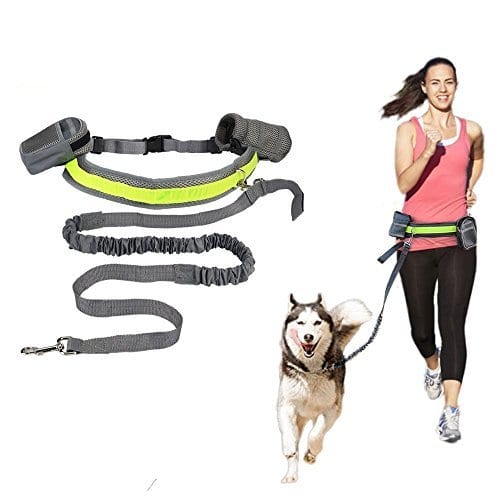 Buy Hands-Free Running Dog Leash, Elastic Hiking Leash and Belt for Dog Walkin in Rwanda