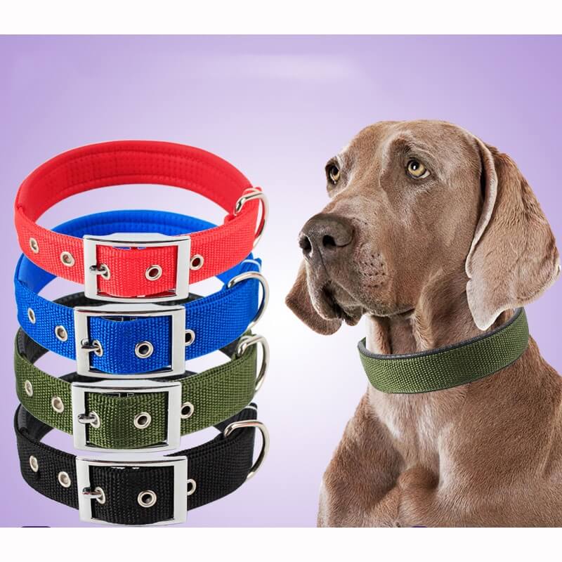 Adjustable Heavy Duty Adjustable Dog Collar in Rwanda