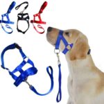 The Best Halti Style Dog Head Collar & Leash Gentle Halter Lead For Dog Training in Rwanda