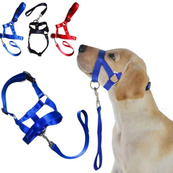 The Best Halti Style Dog Head Collar & Leash Gentle Halter Lead For Dog Training in Rwanda