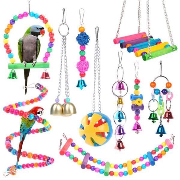 Buy Best Colourful Parrot Bird Perches, Swings and Toys Set in Rwanda Petsasa Pet House