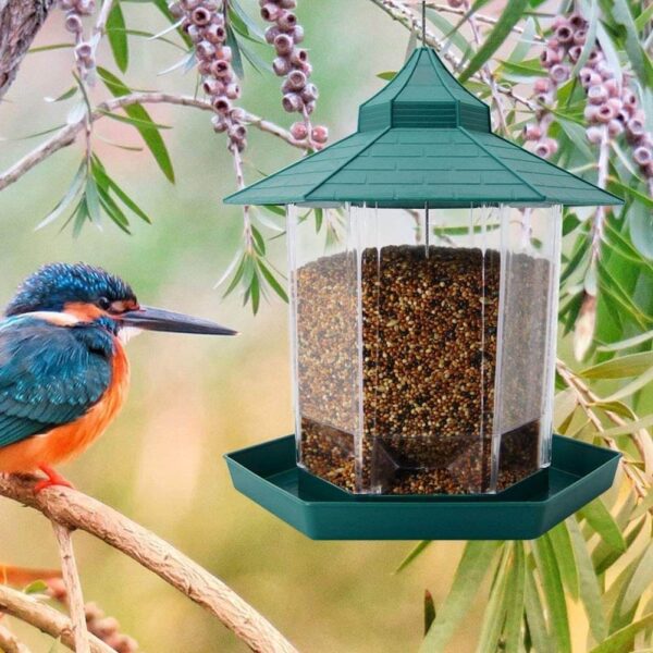 Beautiful Garden Panorama Hanging Bird Feeder in Pet Store Rwanda Location