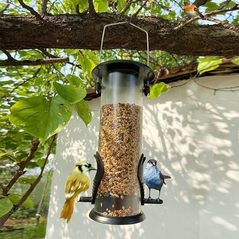 Best Hanging Wild Bird Seed Feeder Petsasa Kigali Rwanda