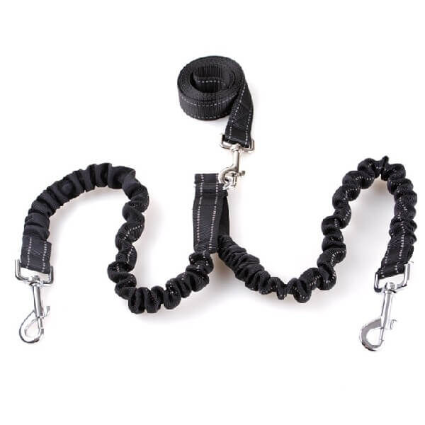 Buy Bungee Double Dog Leash Coupler in Rwanda Pet Store