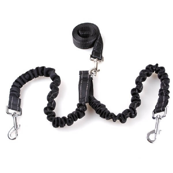 Bungee-Double-Dog-Leash-Coupler-Online-Pet-Store-In-Rwanda Buy Bungee Double Dog Leash Coupler in Rwanda Pet Store