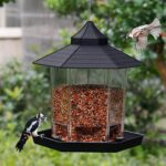 Buy the Best Garden Panorama Hanging Bird Feeder in Rwanda on Petsasa Pet Shop Near Me
