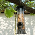 Hanging Wild Bird Seed Feeder - Image 3