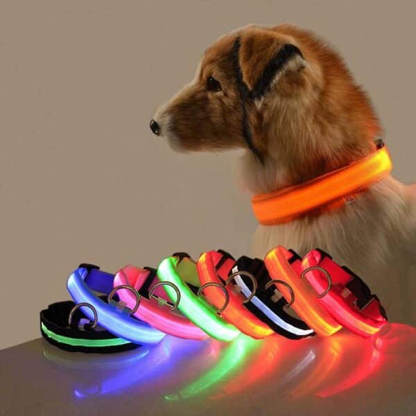 Karen Pet Store Glow In The Dark LED Dog Collar For Night Safety Rwanda