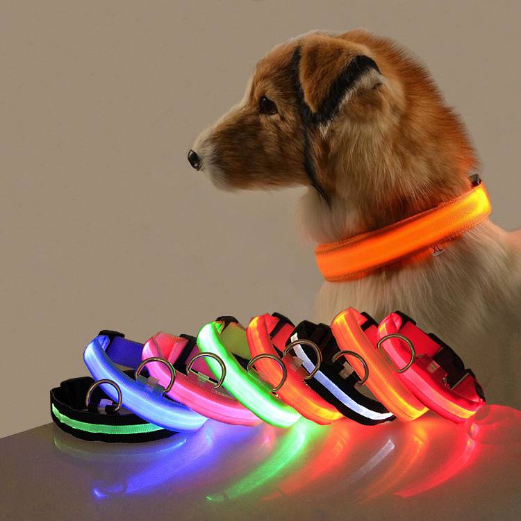 Glow-In-The-Dark-LED-Dog-Collar-For-Night-Safety Karen Pet Store Glow In The Dark LED Dog Collar For Night Safety Rwanda