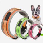 Best Petsasa Padded Sports Dog Collar, Adjustable, Back Clip For Outdoors and Training in Kigali Rwanda