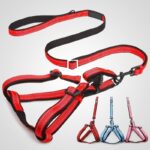 petsasa Classic Reflective Back Clip Dog Harness & Dog Leash Kigali Rwanda Pet Store
