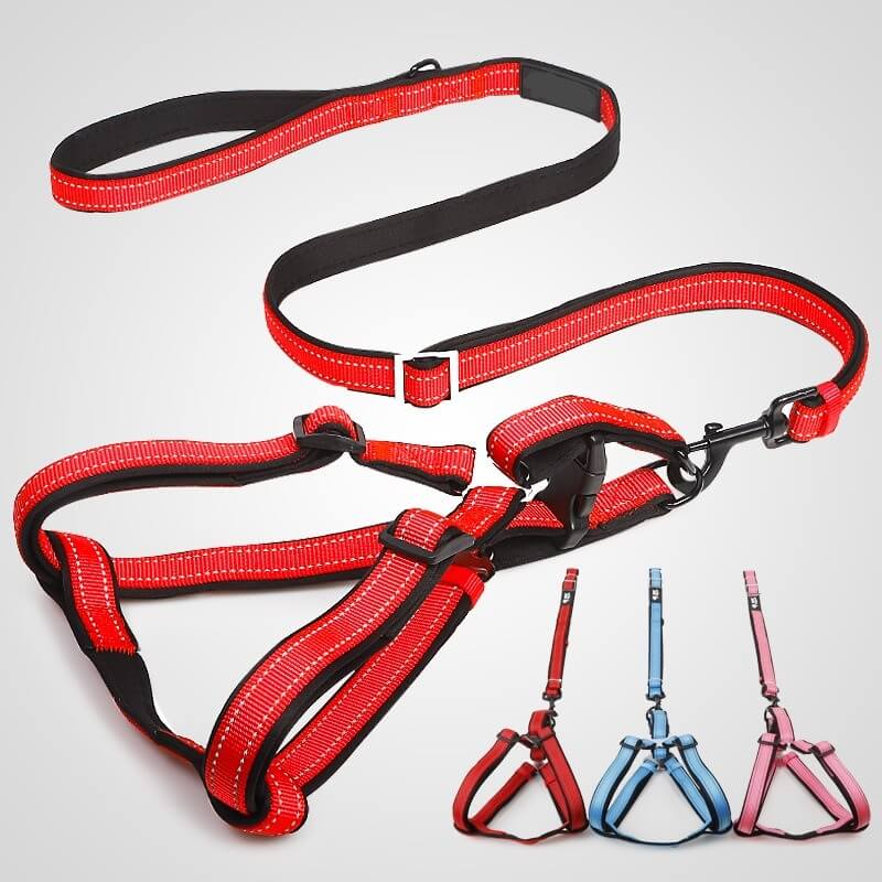 Petsasa-Classic-Reflective-Back-Clip-Dog-Harness-Dog-Leash-Kigali-Rwanda petsasa Classic Reflective Back Clip Dog Harness & Dog Leash Kigali Rwanda Pet Store