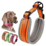Petsasa Padded Sports Dog Collar, Adjustable, Back Clip Kigali Rwanda