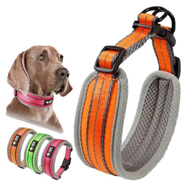 Petsasa Padded Sports Dog Collar, Adjustable, Back Clip Kigali Rwanda