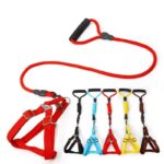 Petsasa Polyester Step In Back Clip Dog Harness with Padded Dog Leash Kigali Rwanda