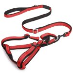 Small, Medium and Large Classic Reflective Back Clip Dog Harness & Dog Leash in Rwanda