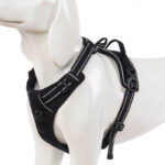 Adjustable Petsasa No Pull Reflective Front Clip Dog Harness in Kigali Rwanda