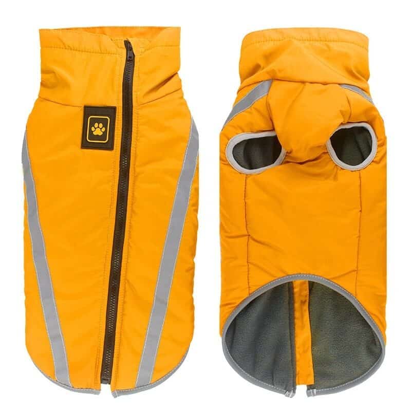 Beautiful Yellow Dog Jacket for Dogs in Kigali Rwanda