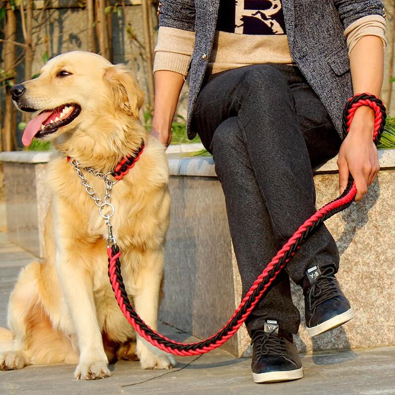 Best Dog Leads for Big Large Dogs in Rwanda Petsasa Braided Urban Dog Leash and Dog Collar