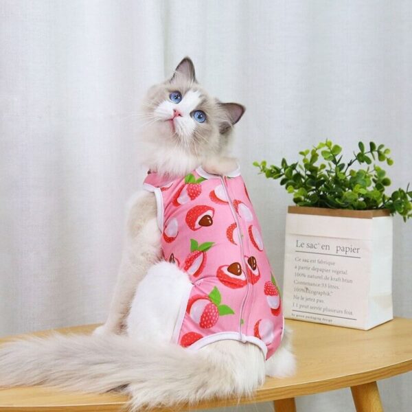 Cute Funky Small Dog & Cat Recovery Suit Clothe on Petsasa Rwanda